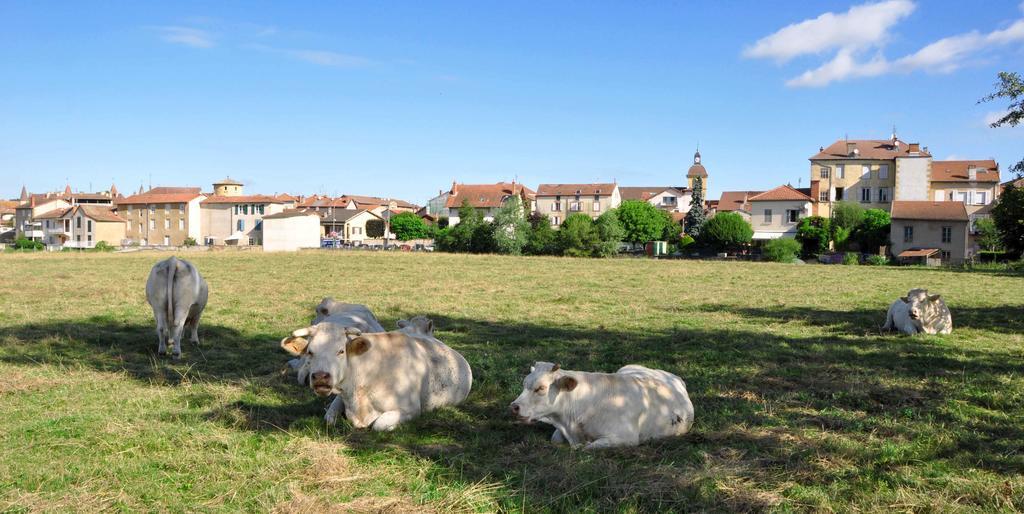 Relais De L'Abbaye Hotel Charlieu ภายนอก รูปภาพ